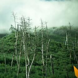 clairvoyant recollections (feat. pet1cov)