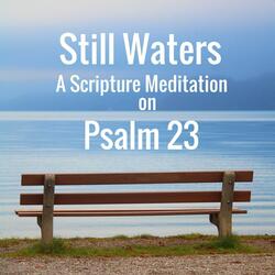 Still Waters: A Meditation on Psalm 23
