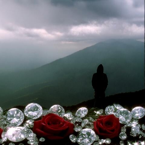 Diamonds & Roses