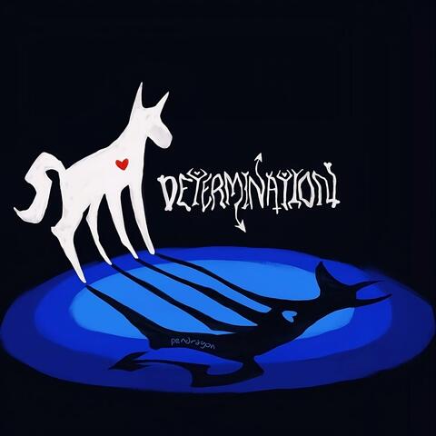 DETERMINATION