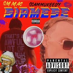 Siamese (feat. Scammlikeelyy)