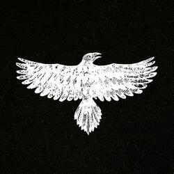 Feathers