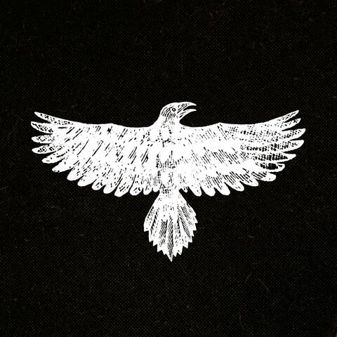Feathers