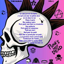 Petit punk veut faire sa revolution