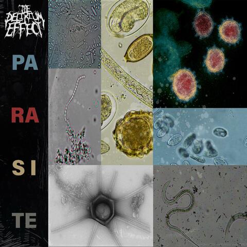 PARASITE