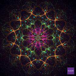 テキーラまみれのシナプス