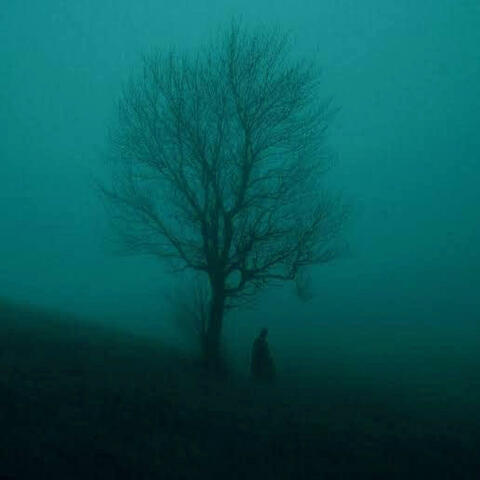 in my eyes. (archive)