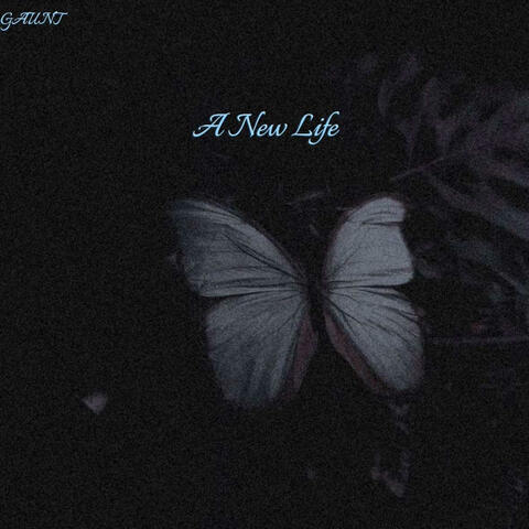 A New Life