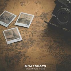 Snapshots: Through Fields of Flanders