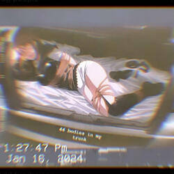 44 bodies in my trunk