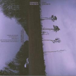 Like Lightning, Six Billion Strong