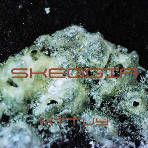 SKEGGIA