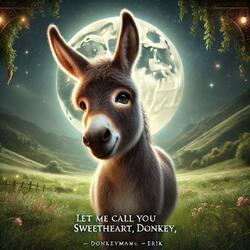 Let me call you sweethart, Donkey