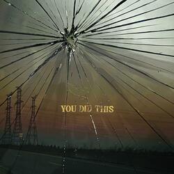 You Did This