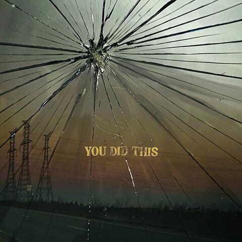 You Did This