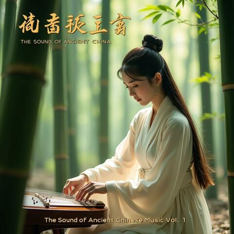 The Sound Of Ancient Chinese Music, Vol. 1