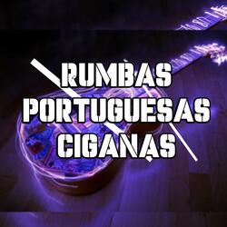 Musica Cigana DJ SALGUERO Rumbas 2k26