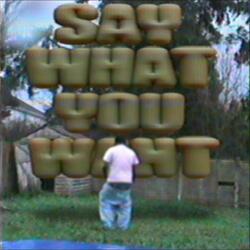 SAY WHAT YOU WANT