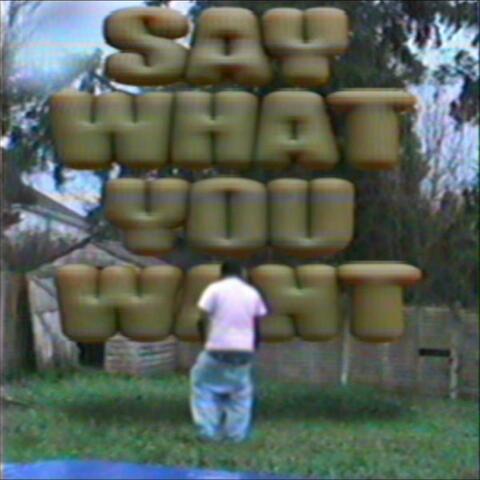 SAY WHAT YOU WANT