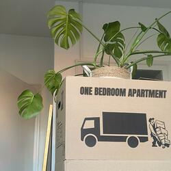 one bedroom apartment