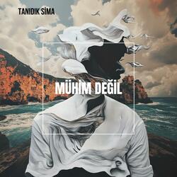 Mühim Değil