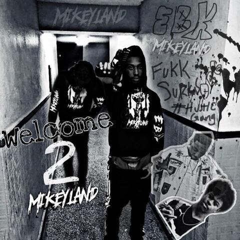 Welcome 2 MikeyLand