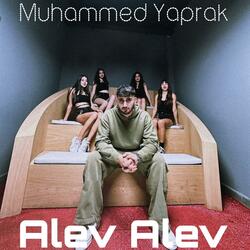 Alev Alev