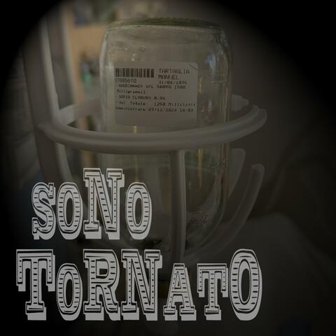 Sono tornato