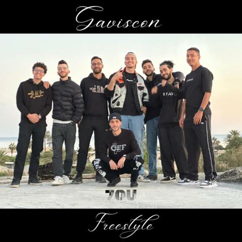 Gaviscon (Freestyle)