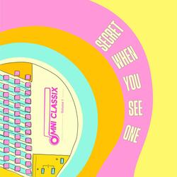 Secret When You See One (Omnichord Version)
