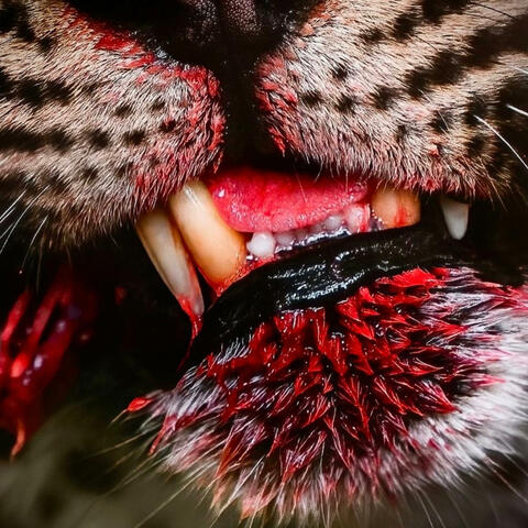 grrr