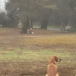 aviation (angel xviii)