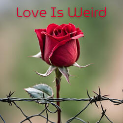 Love Is Weird