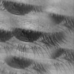 Indigo (feat. anticønbeatz)