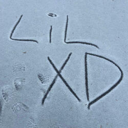 Not A Christmas Song