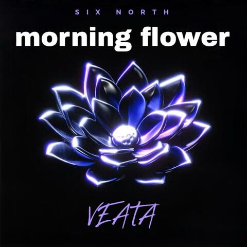 morning flower