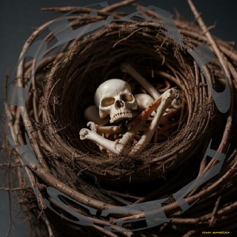 DEAD NEST