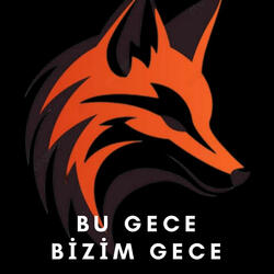 Bu Gece Bizim Gece