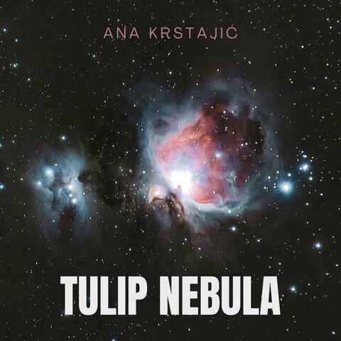 Tulip Nebula