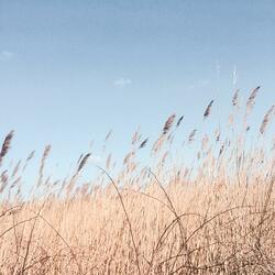 Live Forever (feat. 6obby)