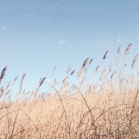 Live Forever (feat. 6obby)