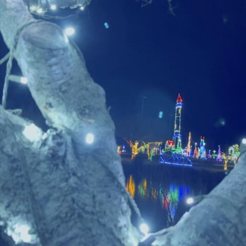Festival of Light