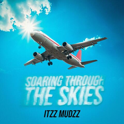 Soaring Through The Skies