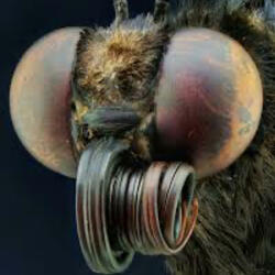 mosquitoes (feat. Luhq5)