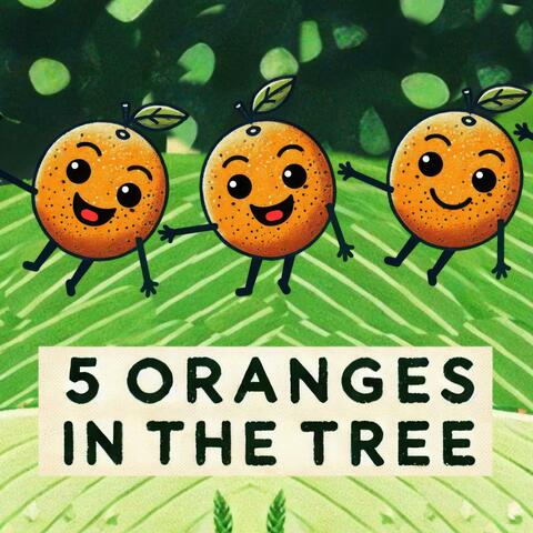 5 Oranges in the Tree