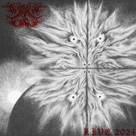 Live 2024