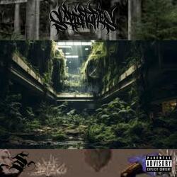 Concrete Forest (feat. Binks & Mc_draydl)