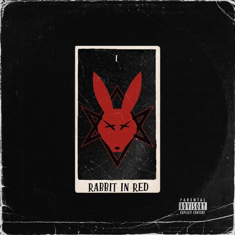 Rabbit In Red