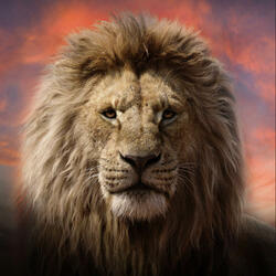 Roar of the Pride