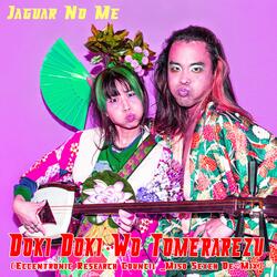 Doki Doki Wo Tomerarezu (The Eccentronic Research Council Remix Miso Sexeh De-Mix)